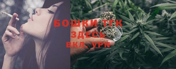 2c-b Краснослободск