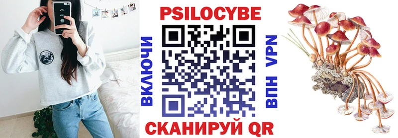 Галлюциногенные грибы MAGIC MUSHROOMS  kraken вход  Михайловка  darknet состав  как найти закладки 
