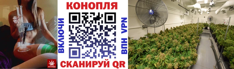 закладка  Михайловка  Шишки марихуана ГИДРОПОН 